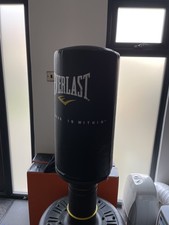 Everlast Freestanding Boxing Punch Bag