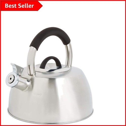 Stylish whistling teakettle - whistling, in