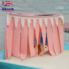 Guinea Pig Guinea Pig Corner