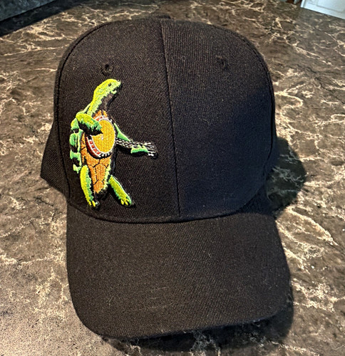 Terrapin turtle dead - , cap