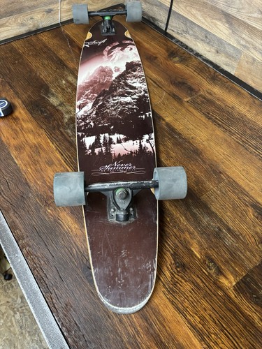 Never summer swift longboard - swift,