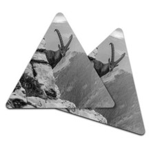 2x Triangle Coaster - BW -