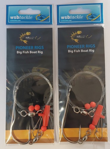 Wsb pioneer big fish - pioneer,