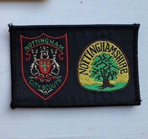 Boy scout double badge - scout,