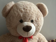 Huge giant plush teddy - giant,