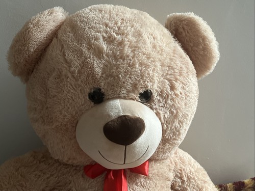 Huge giant plush teddy - giant,
