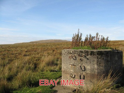 Photo pillar looking across - photo,