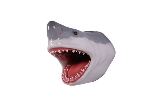 Great white shark head large - head,