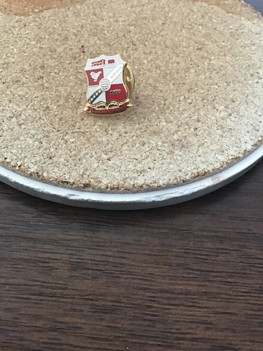 Swindon town football club - swindon,