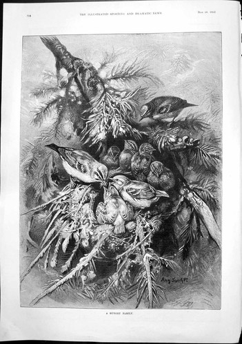 Antique old print - old, hungry