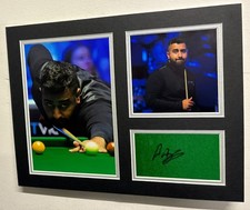 Professional Snooker Player
