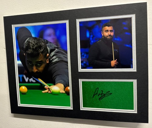 Professional snooker player - professional,