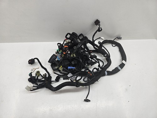 Ktm duke 790 wiring harness - 790,