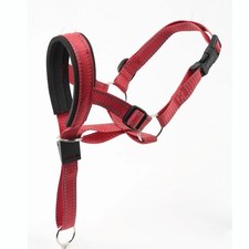Headcollar Non Pull Dog Head