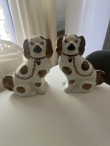 Staffordshire style spaniel - staffordshire,