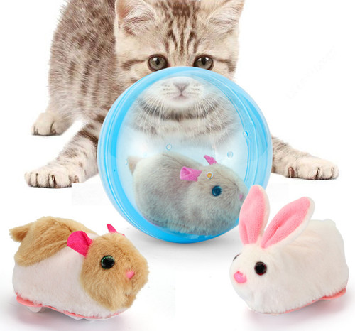 Electric hamster abs - –,