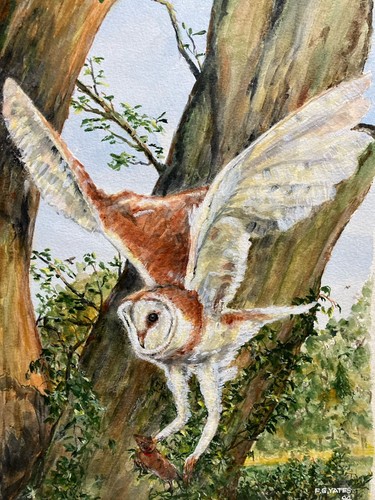 Vintage watercolour painting - watercolour,