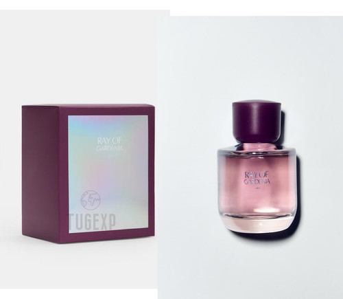 Zara ray gardenia - of,