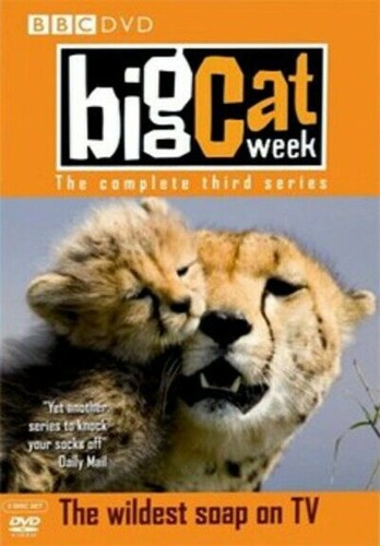 Big cat week series - cat, (2007)