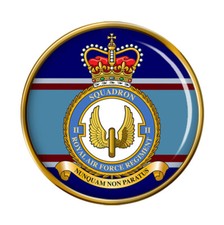 RAF Regiment 2 Squadron Pin Badge