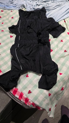 Next dog rain - , jacket