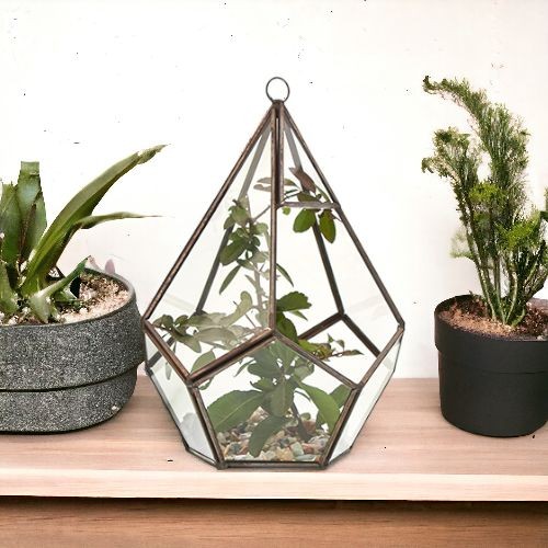 Large glass pentagon terrarium - glass,