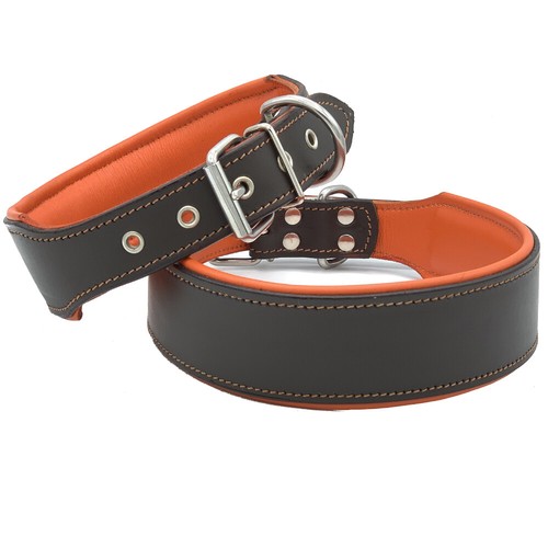 Big dog collar leather - dog,