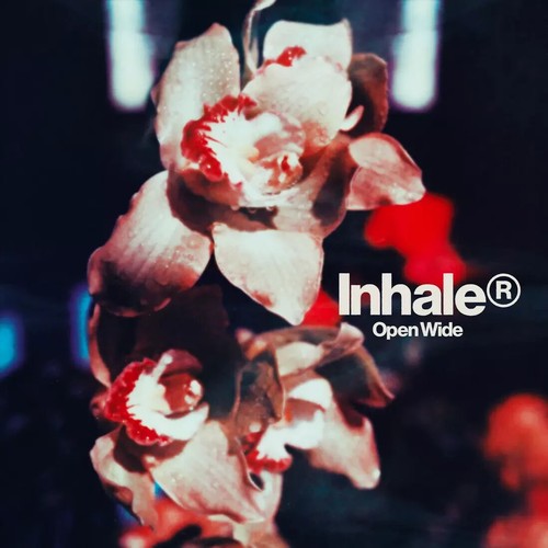 Inhaler open wide cd album - -,
