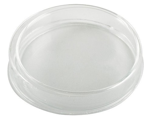 60mm glass petri dish - glass,