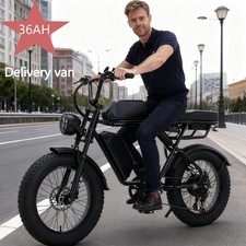 20'' Fat Tire Electric