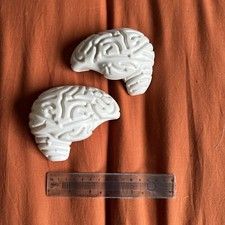 Brain Halloween Prop Toy Haunted House Artificial Cosplay Grey Spooky Halloween
