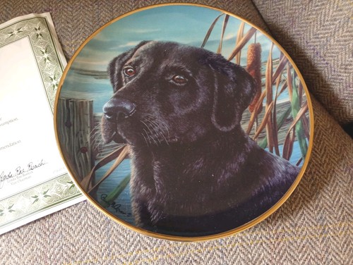 Mans best friend franklin - mans,