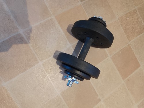 11kg dumbbell - ,