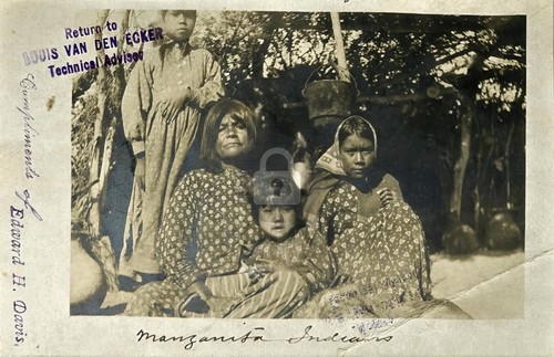 Manzanita indians kumeyaay - manzanita,