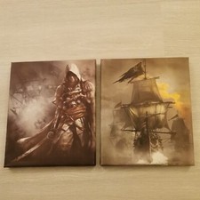 Assassins Creed Black Flag Set