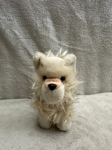 American girl pomeranian puppy - girl,