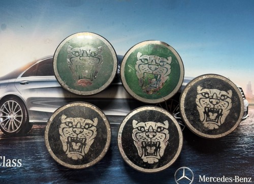 Five genuine jaguar - five,
