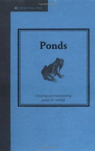 Ponds creating and - creating,