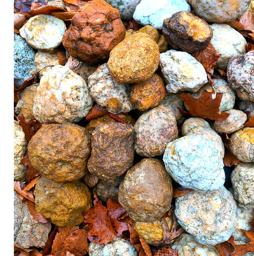 Kentucky geode lot lbs - lot,