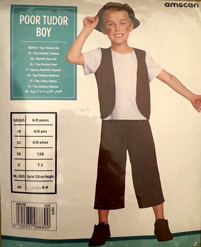 Poor tudor boy - tudor, costume,