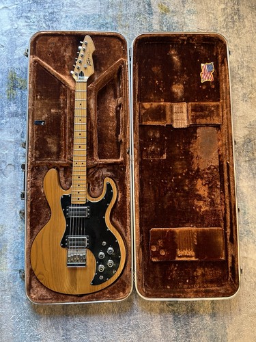 1979 peavey vintage - 1979,