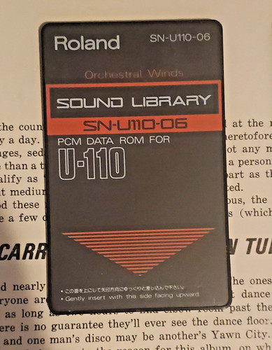 Roland u110 orchestral - sn-u110-06,