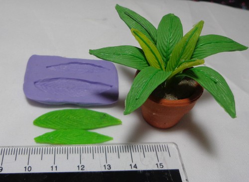 Scale size long leaf - 2,