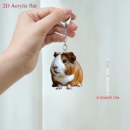 Cute guinea pig - cute,