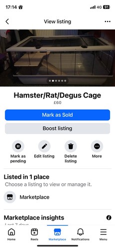 Hamster and rat - and, cage