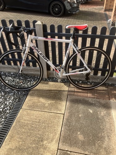 Raleigh equipe adult road - equipe,