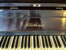 Bluithner Piano 13421