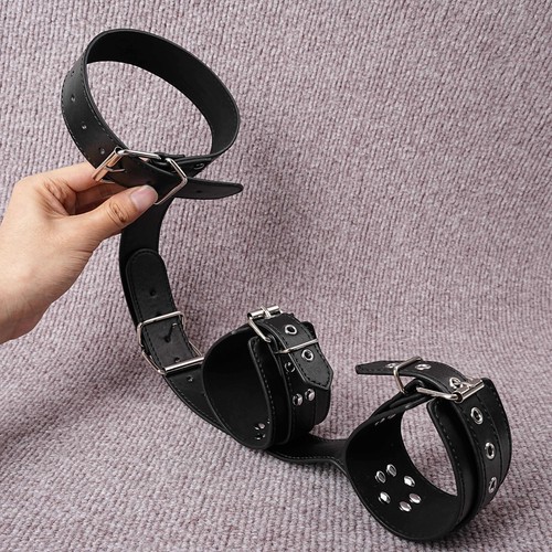Restraint body harness - body, straps