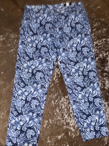 Gently used vineyard - vineyard, vines