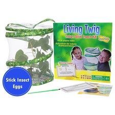 Insect Lore Living Twig Indian